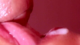 japanese love story pt 02