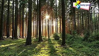 Sweet Cock Let Me Charge And Fuck You Passionately