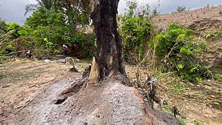 Amateurs Fuck In The Forest With Big Ass And Tits