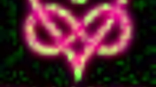 Blowjob On Public Bus With Swallow