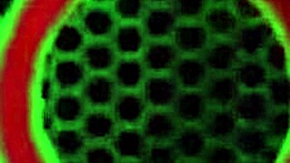 philly john, you licking my toes and fucking my ass hard?