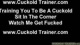 Having fun humiliating cuckold bitches like you?