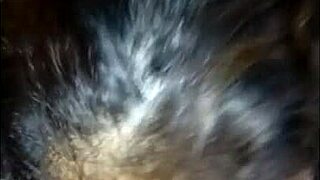 Best Blowjob Latina Wets Cock Extracts Semen With Mouth Puts Cucumber Inside