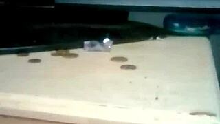 i'm fucking my fat filthy wife in the bedroom while we watch a video of me pounding a tight petite teen