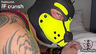trailer fetlife kitty kewpie pegs bad pup ash in chi-town on flourish fetish