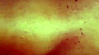 Cornudo Le Encanta Ver Esposa Bañarse Y Ser Follada Con El Negro Dotado