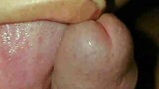 i love sucking that dominican bbw cock