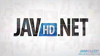 Javhd Best Hairy Pussies Vol 14