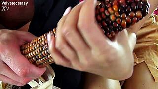 bushwacker - introduction