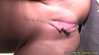 Busty nika noire tries shane diesels bbc - gloryhole