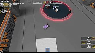 what are roblox sword fighting clips
