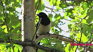 skinny teen does anything for old man's taboo love in passionate encounter