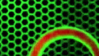 Lucky stallion feels intense pleasure as milfs sara jay and ava devine fuck him passionately