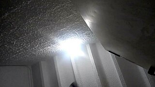 Hotwife Rides BBC Bull Before Amazon Fucking