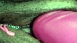 a plump ebony woman enjoys a relaxing massage at home