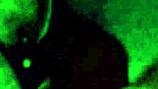 i love sucking my king, don't you?