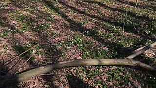 I enjoy a peaceful outdoor moment with self-pleasure and watching.