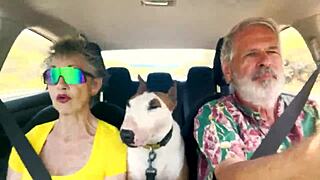 We Drive Around East Oahu While Chatting About Things Sexual