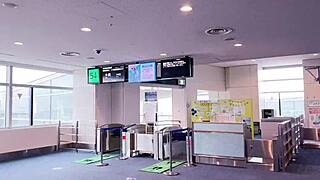 i crave fucking those hibiscus nipples