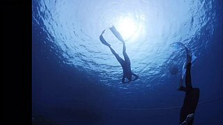 i crave fucking those hibiscus nipples