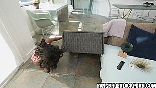 Super Small 18+ Black 20yo Girl Sucks Giant Black Dick In Ebony Porn