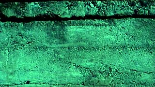 Euro creampie features hardcore anal action