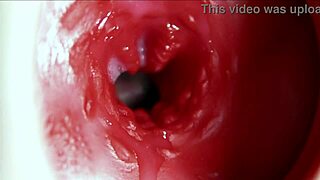 big orgasm inside the anus, fantastic moaning and lots of sperm