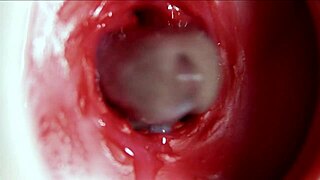 big orgasm inside the anus, fantastic moaning and lots of sperm