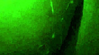 i experienced a juicy black ebony pussy that made me squirt in slow motion