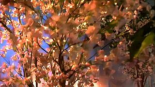 bella-marie wolf looks like a goddess and performs passionately