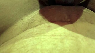 felicidades fiestas patrias 2025 �viva m�xico