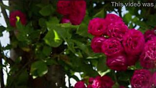 Bangla Sex Story Part 2