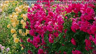 Bangla Sex Story Part 2