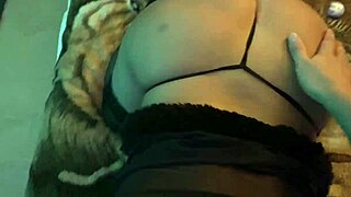 Casting session with lingerie, blowjob, and pussy licking 😏