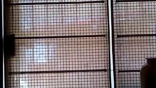 moviendo el culo mi hermana tipo tuerk