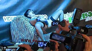 ficeb 2012 barcelona adult event highlights