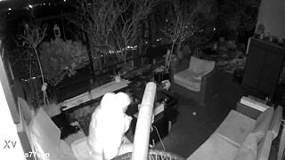 M4rkus77 Moans Jerking Massive Cum Spy Cam Caught!