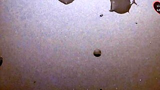 big cock swells rock hard before massive solo cum explosion