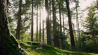 Cristian Cipriani feels the rush teaching sloppy oral on eager woman