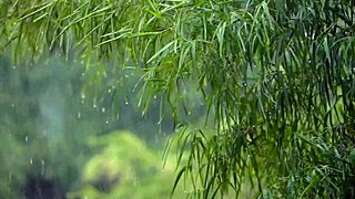 Cristian Cipriani feels the rush teaching sloppy oral on eager woman