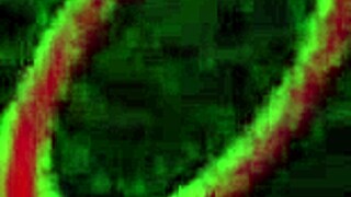 hey sara jay, kimber lee wanna lick these wet pussies?