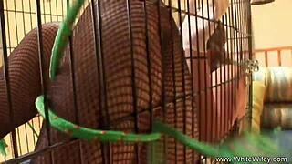 masked pawg screams getting her fat ass destroyed by throbbing bbc monster cock