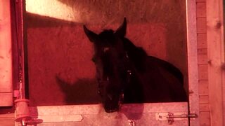 Jodie James, take this stiff dick deep in the barn?