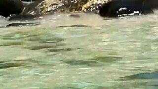 hey, hot japanese slut caught sucking monster black cock outdoors?