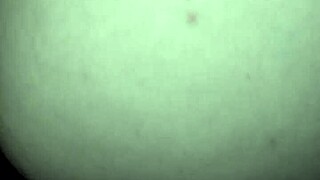 god damn this wet white pussy craves monster black cock!