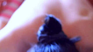 college friend visits luxury apartment for steamy encounter