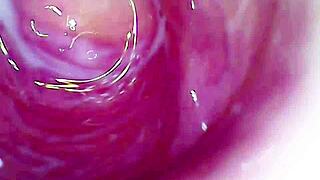 juicy pussy creams to hard orgasm