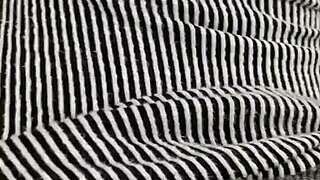 Forest Caught: Tattoo Slut Begs for Monster Black Cock Ravage