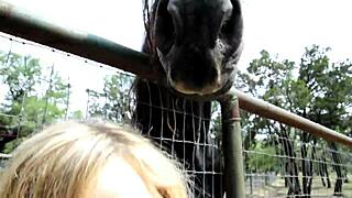 alexis texas pounds fleshlight with usa intensity