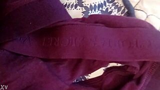 Dirty Victoria's Secret Lingerie Teases Hidden Desires